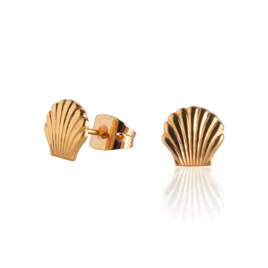 Gold Seashell Stud Earrings