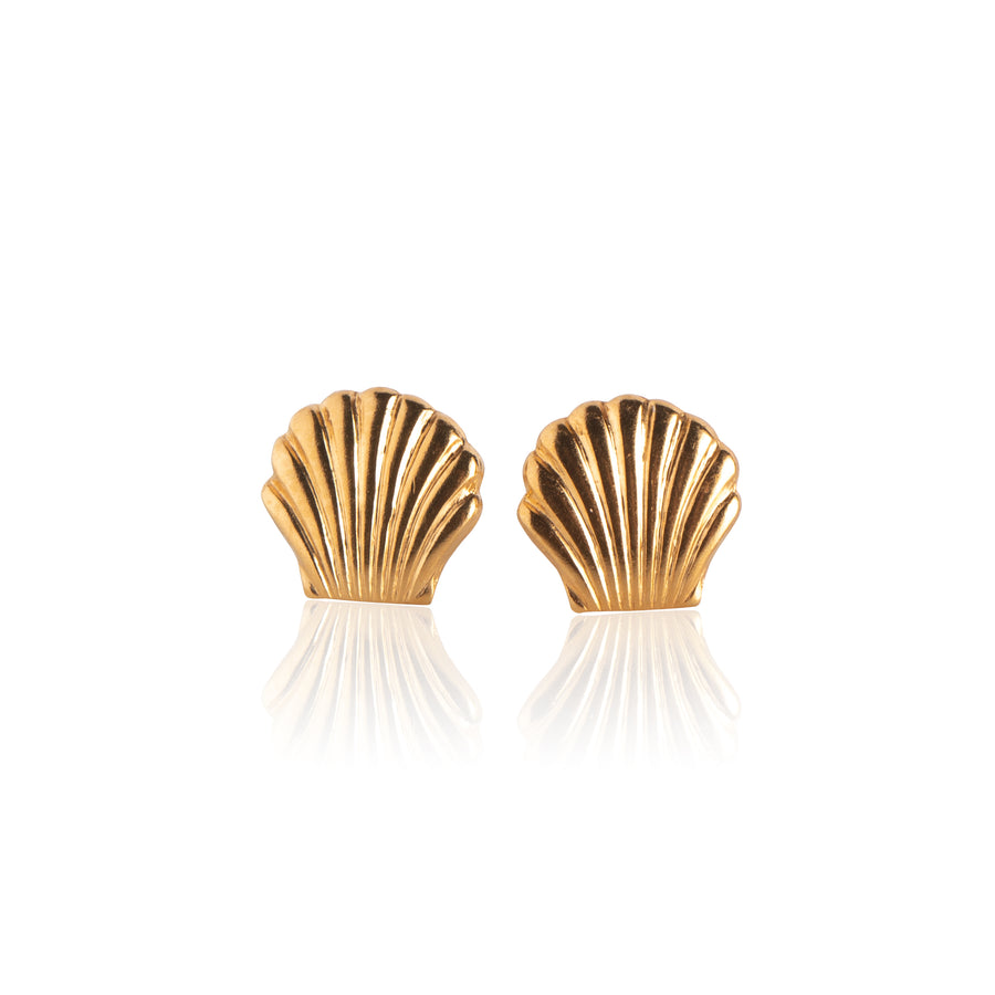 Gold Seashell Stud Earrings