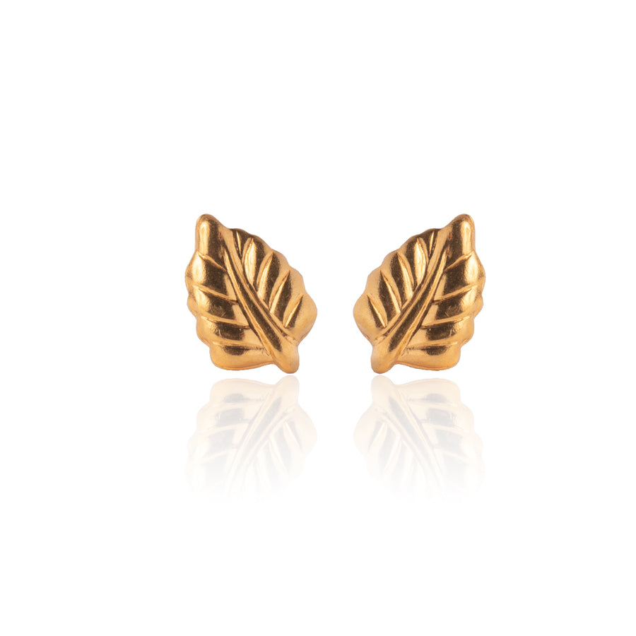 Gold Elm Leaf Stud Earrings