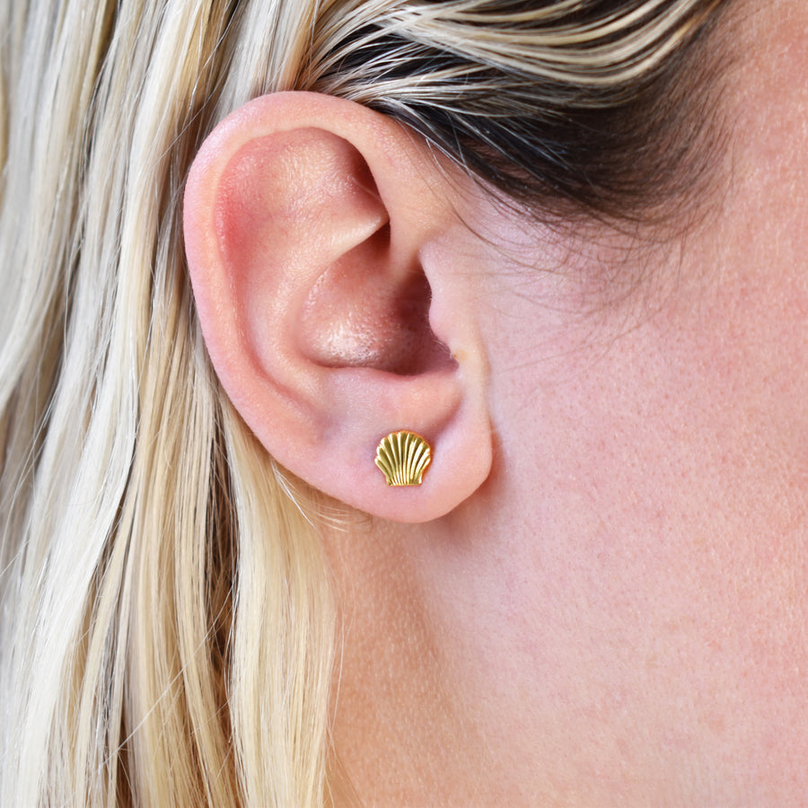 Gold Seashell Stud Earrings