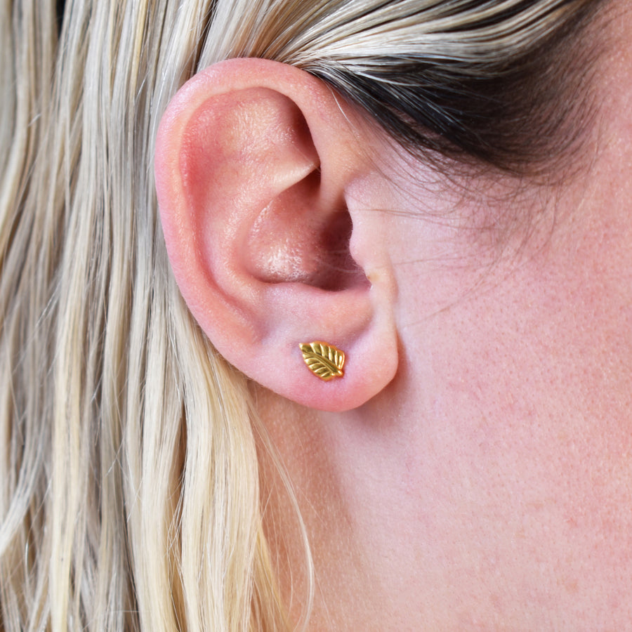 Wholesale | Gold Elm Leaf Stud Earrings