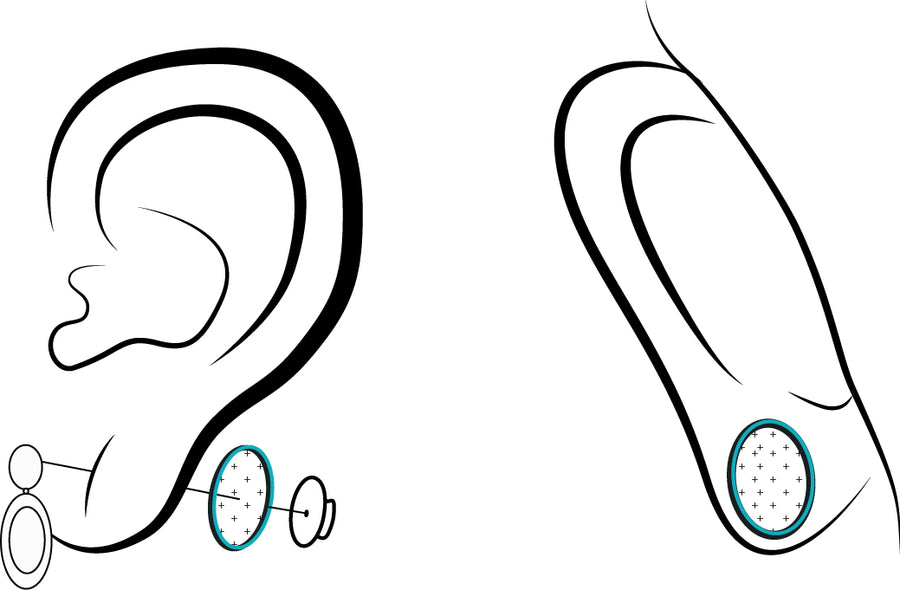 Wholesale | Lobe Savers